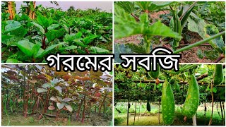গরমকালে সবজি চাষ | গ্রীষ্ম কালীন সবজি |  summer vegetables ( goromer sobji ) #garden #vegetables
