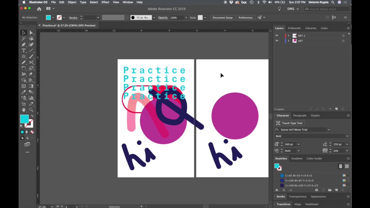 Adobe Illustrator Panels