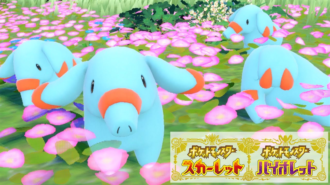 【希少】ニョロトノ・ゴマゾウ・ヒメグマ 2002 ポケモン 可愛い】ゴマゾウ6匹に囲まれて癒されピクニック【ポケモンSV】 - YouTube