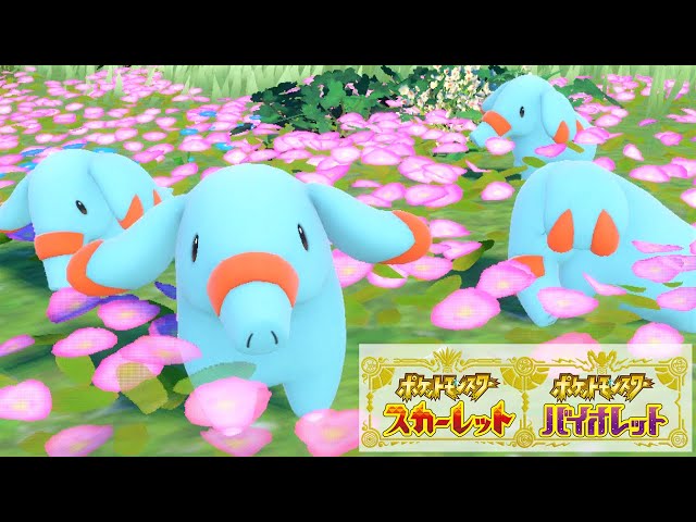 可愛い】ゴマゾウ6匹に囲まれて癒されピクニック【ポケモンSV】 - YouTube