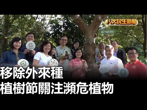 植樹節關注瀕危植物 移除外來種 |【民生八方事】| 2023031205 @gtvnews27