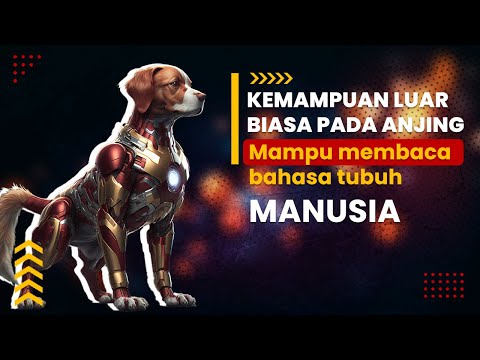 Video: Bagaimana Anjing Membaca Bahasa Tubuh Manusia