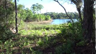 Deer Lake Hike Glee