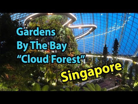 Video: Kako Posjetiti Singapur Gardens By The Bay U Jednom Danu