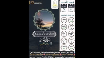 قال سننظر أصدقت أم كنت من الكاذبين... سورة النمل ٢٧-٣٣ | ريان المحيسني