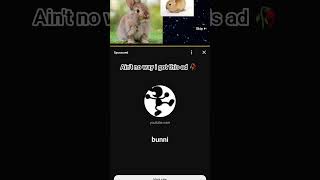 I got the bunni ad 💀