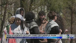 MSU students occupy part of campus park