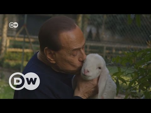 Berlusconi'nin kuzuları -