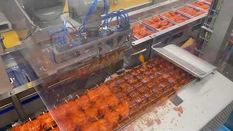 DGS - Kebab Loading Robot with Marinade - Sealpac UK & Partners