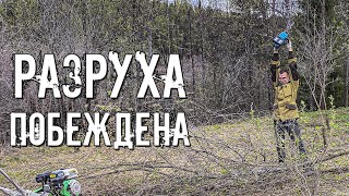 картинка: Заброшенный участок превратился в ухоженный сад. Хутор стал безопаснее