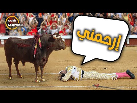 فيديو: من هي corrida de toros؟