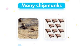 Many chipmunks | Animal names and sounds | Learn English for Kids - Kids vocabulary