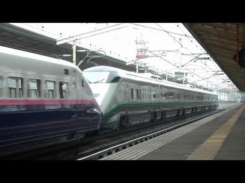 東北新幹線E2系はやて+E3系つばさ編成　やまびこ138号？　小山駅通過