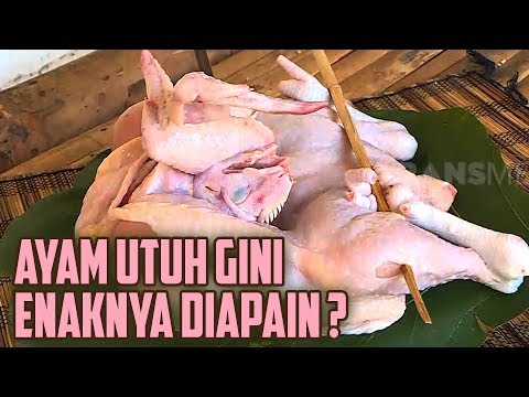 Kemangi Ayam Jerebu
