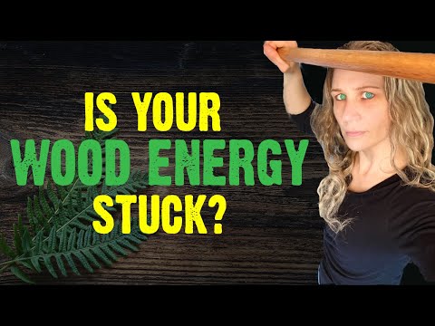 SIGNS Your Wood Energy Is STUCK (Liver Qi Stagnation And Your Health)