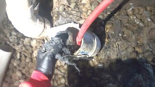 DRAIN CLEANING VIDEO - Blocked Sewer Drain - Drain Pros Ep. 61