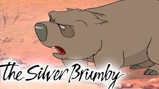 The Silver Brumby | Wombat Goes on Holiday 🐎| HD FULL EPISODES