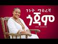 ጎጃም ገነት ማስረሻ Gojjam Genet Masresha ጎጃሞች ዘነጡ New Ethiopian Music 2026 Official Video 