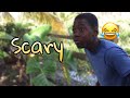 Scary 4 brothers comedy