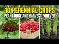 10 Perennial Crops: Plant Once and Harvest for a Lifetime!
