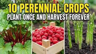 10 Perennial Crops: Plant Once and Harvest for a Lifetime!