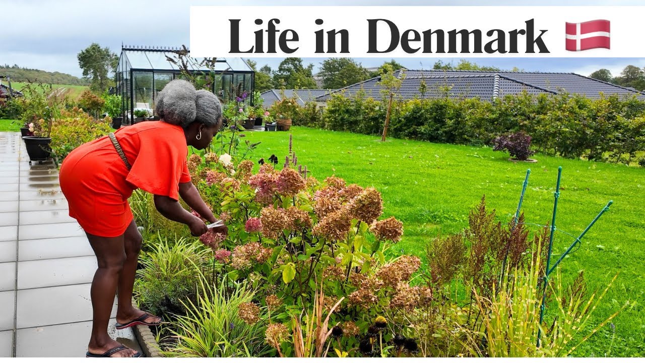 VLOG| Life in Denmark🇩🇰| Slowliving | Introvert diaries  