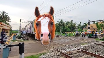 Furious Speedy MAD HORSE Headed EMU Local Trains Furious Moving Throughout Railgate