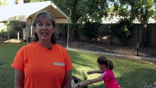 Tasks for Border Collies : Dog Training Musts