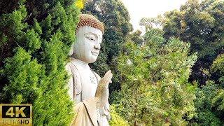 30 Minutes of ASMR Exploration  - Hidden Giant Buddha 😍🇲🇾 RELAXING AMBIENCE