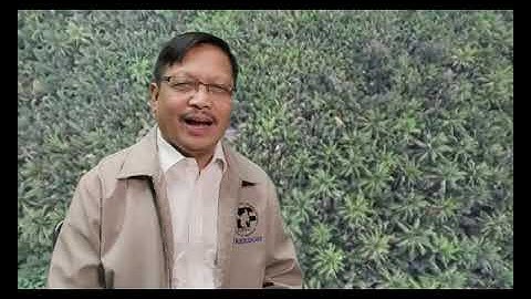 Nipa Sugar Processing