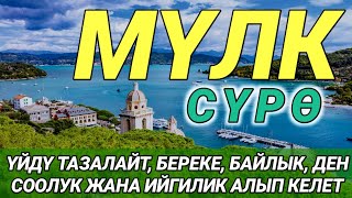 Download Lagu СҮРӨ АЛ МҮЛК| АР КАНДАЙ ЖАМАНДЫКТАН ЖАНА КӨЗ ТИЙҮҮДӨН КОРГОЙТ, ООМАТ, БЕРЕКЕ ЖАНА ЫРЫСКЫ АЛЫП КЕЛЕТ MP3 Download Lagu СҮРӨ АЛ МҮЛК| АР КАНДАЙ ЖАМАНДЫКТАН ЖАНА КӨЗ ТИЙҮҮДӨН КОРГОЙТ, ООМАТ, БЕРЕКЕ ЖАНА ЫРЫСКЫ АЛЫП КЕЛЕТ MP3