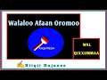 Wal Qixxummaa Walaloo Afaan Oromoo