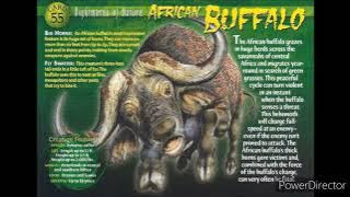 cape buffalo sound effects