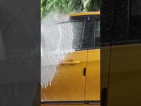 tata tiago full body foaming.#india #youtubeshorts #tatamotors #tata #shorts