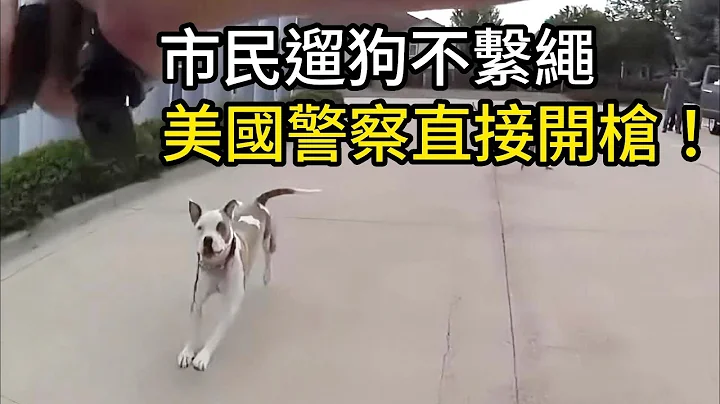 市民遛狗不系绳，美国警察直接开枪！ - 天天要闻