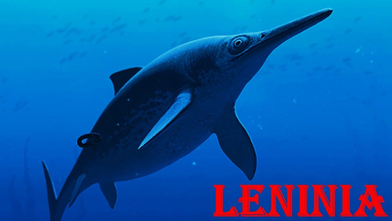 Leninia - YouTube