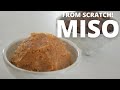 How to make ★Homemade MISO★from scratch!～みその作り方～（EP79）