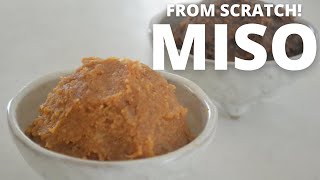 How to make ★Homemade MISO★from scratch!～みその作り方～（EP79）