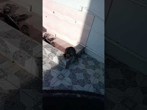 لم حد يحبك وربنا يجعلك رزق ليه يارب ارزقني من حيث لا احتسب