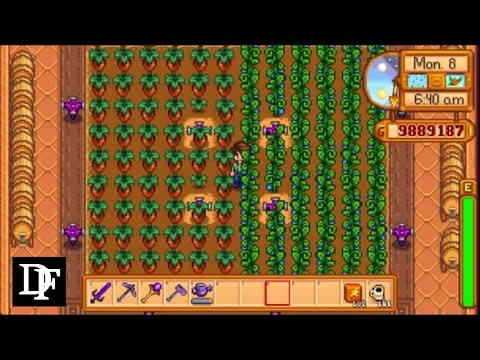 stardew valley - ancient fruit vs rare seed for the