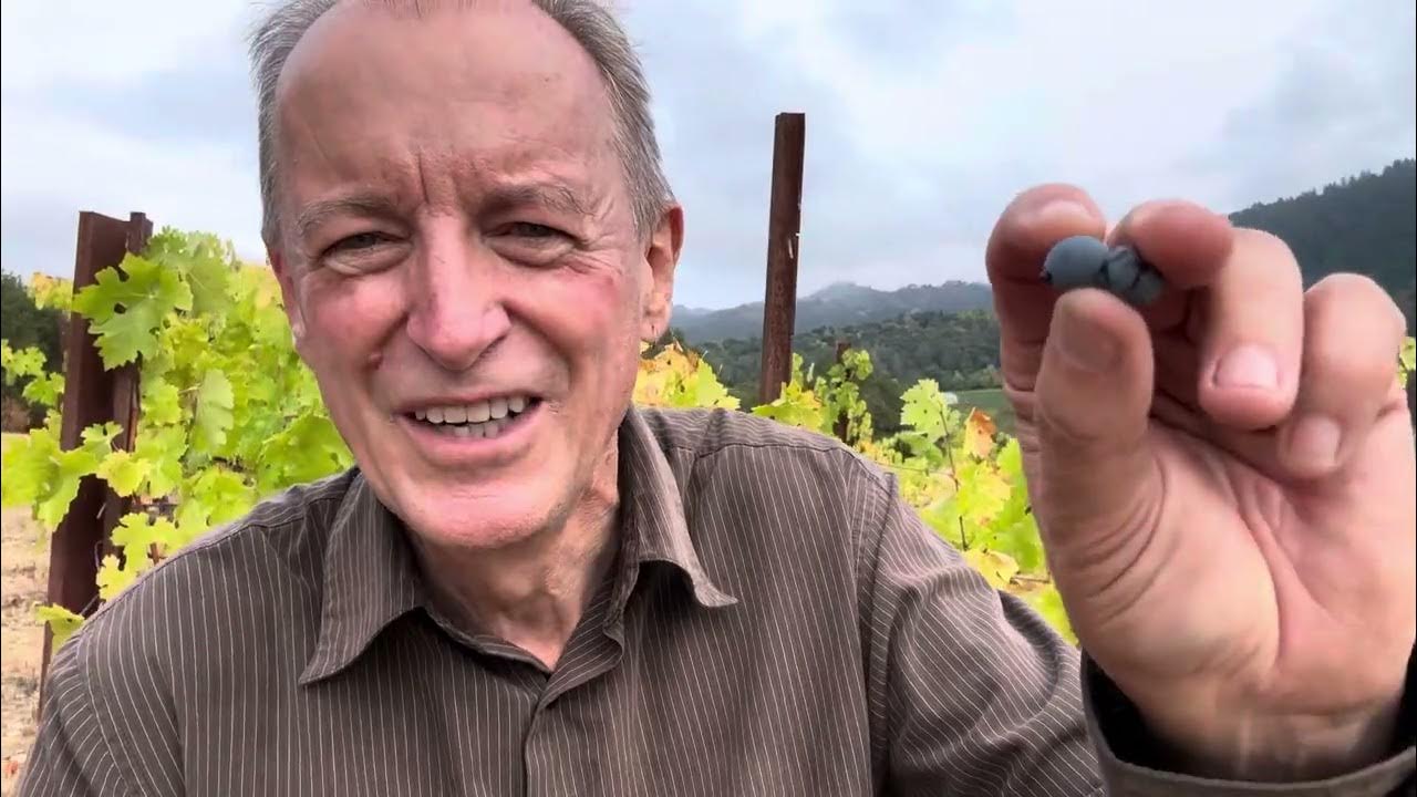 Winebow The Counselor Alexander Valley October 9, 2023 YouTube