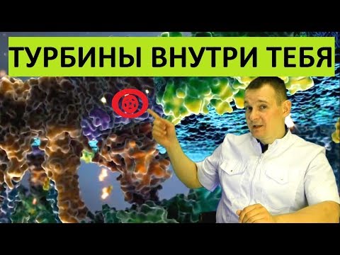 Нанотурбины в клетках. СУПЕР ТЕХНОЛОГИЯ ПРИРОДЫ - Синтез АТФ.