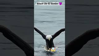 Eagle vs B2 bomber! see the end 🤯#eagles #b2 bomber # Lock target 🎯 #hammerspace #throwingaxes