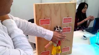 Lámina Interactiva “El Cuerpo Humano” screenshot 5