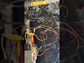 4age Blacktop 20v COP (coil on plug) with STOCK ECU and HARNESS. Part 1