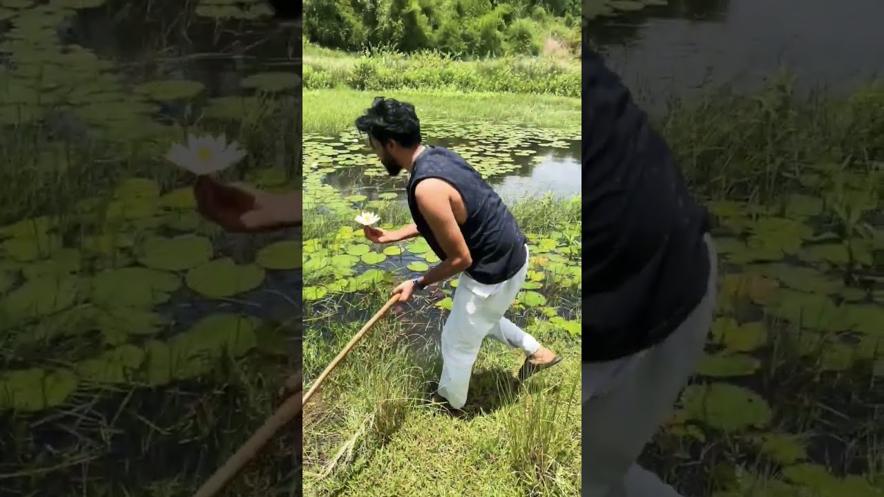 Find a Flower and Preserve it Forever | rishad nk 