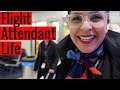 Travel for Work  |  Fly With Stella  |  VLOG 6, 2018