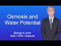 A Level Biology Revision "Osmosis and Water Potential"