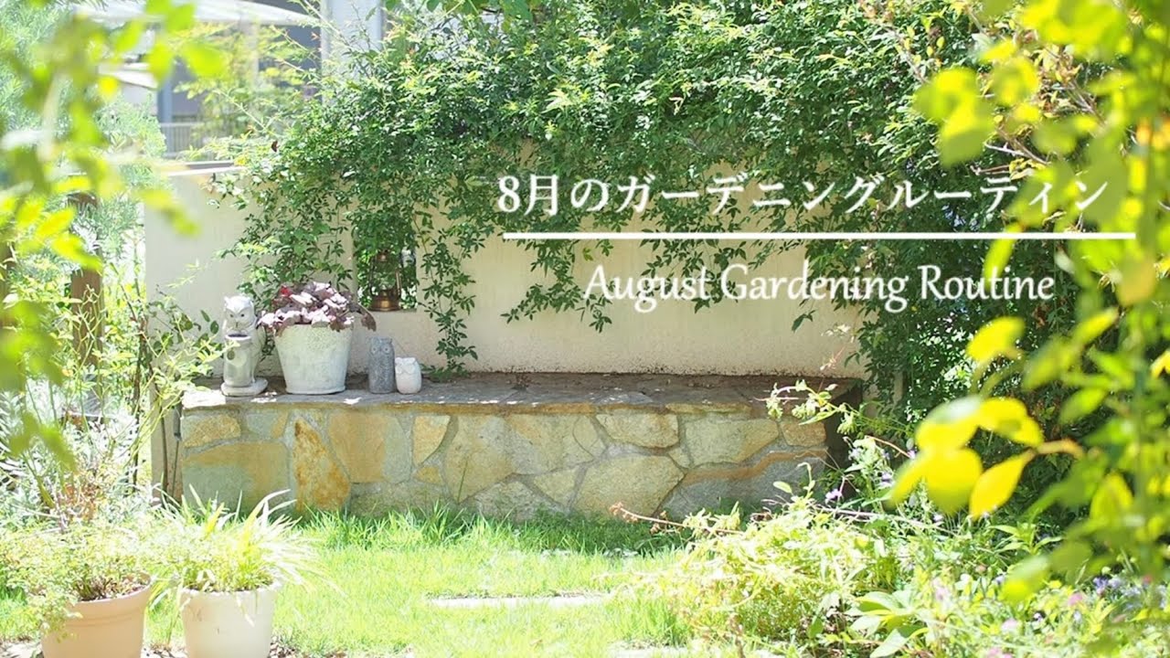 8月のガーデニングルーティン 暑くても必ずやる3つのこと 暑さに強い花 T S Garden Youtube