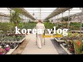 Shopping for Plants, Indoor Plant Interior + Trip to Flower Market 🌱 에르베 플라워 아울렛 | KOREA VLOG